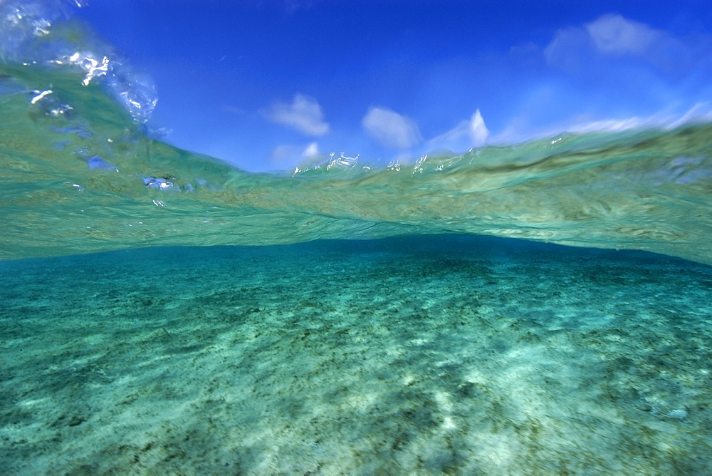 Split image of sandy bottom and sky, Rongelap, Marshall Islands, Micronesia, Pacific