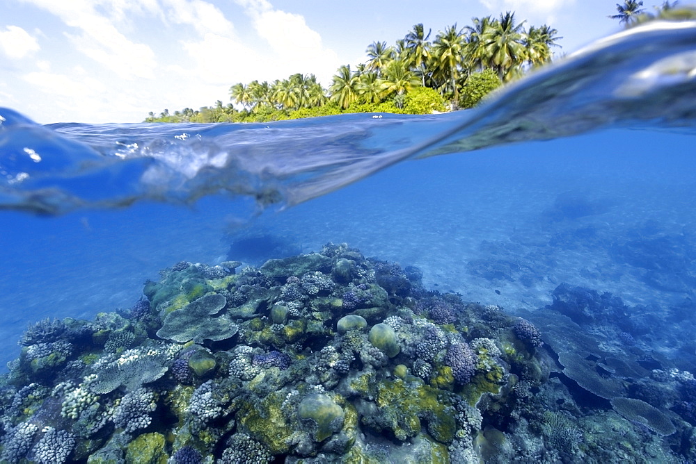 Split image of pristine coral reef and island, Rongelap, Marshall Islands, Micronesia, Pacific