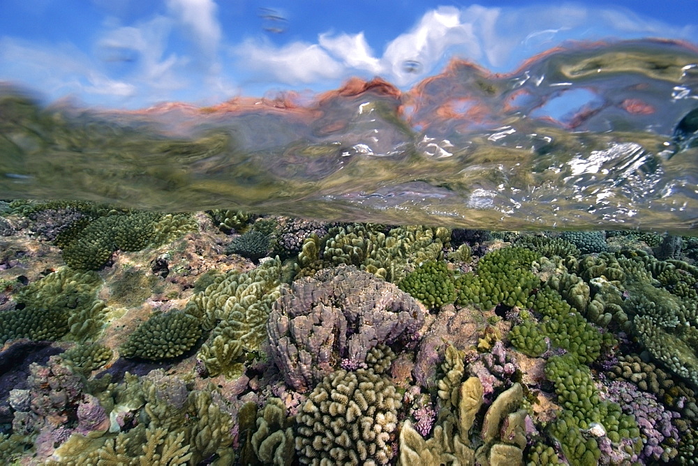 Split image of pristine coral reef and sky, Rongelap, Marshall Islands, Micronesia, Pacific