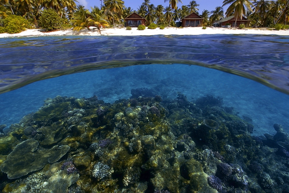 Split image of pristine coral reef and island, Rongelap, Marshall Islands, Micronesia, Pacific