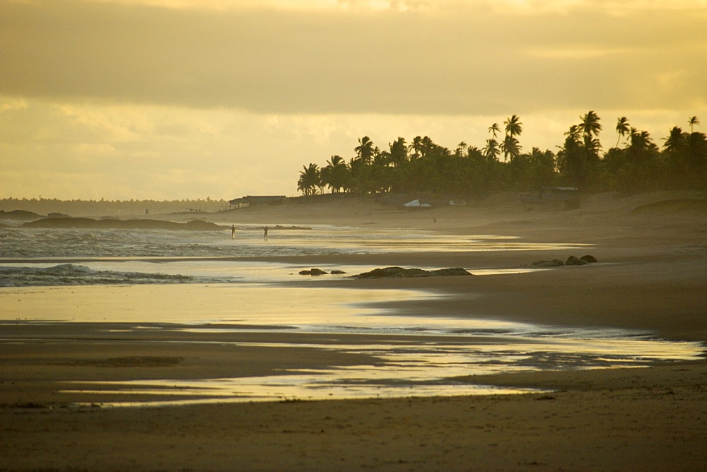 Sunset at the beach, Costa do Sauipe, Bahia, Brazil, South America