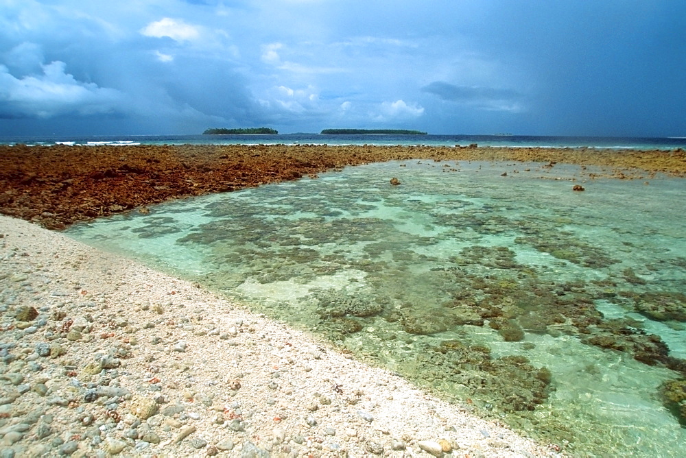 Tide pool, Bird Island, Mili, Marshall Islands, Pacific