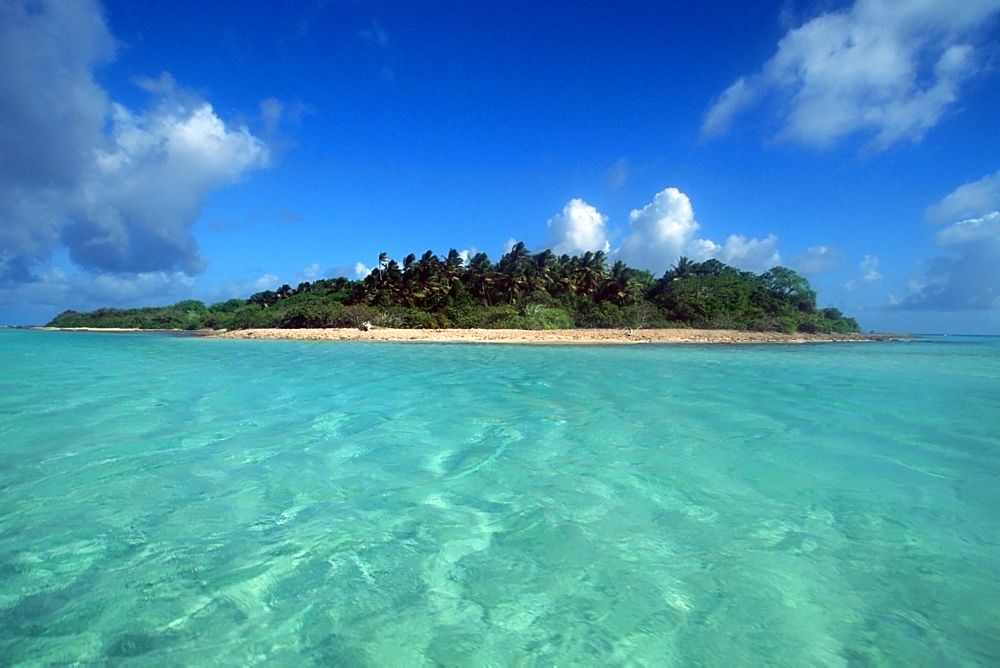 Gabelle Island, Rongelap, Marshall Islands, Pacific