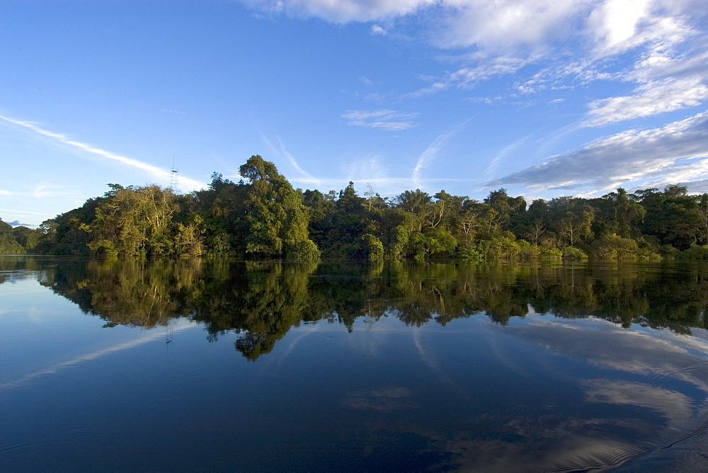 Flooded tropical rain forest, Mamiraua sustainable development reserve, Amazonas, Brazil, South America