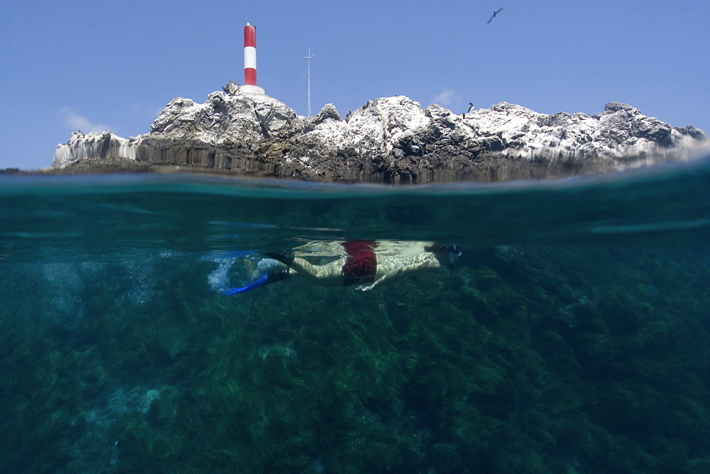 Split image of rocks and free diver, St. Peter and St. Paul's rocks, Brazil, Atlantic Ocean 