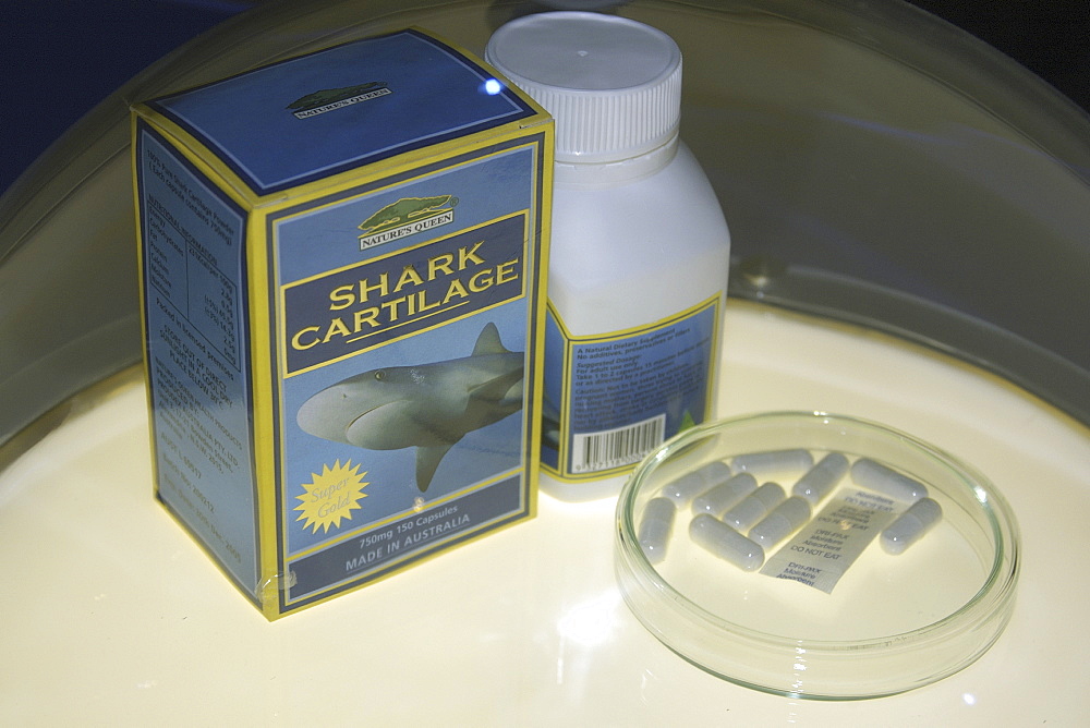 Shark cartilage pills on display, once believed to prevent cancer, this product has no demonstraed health benefit, Busan aquarium, Busan, South Korea, Asia