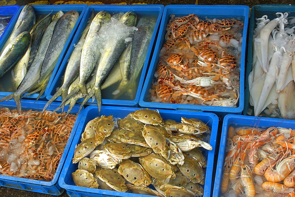 Fresh seafood, Suao, Taipei, Taiwan, Asia
