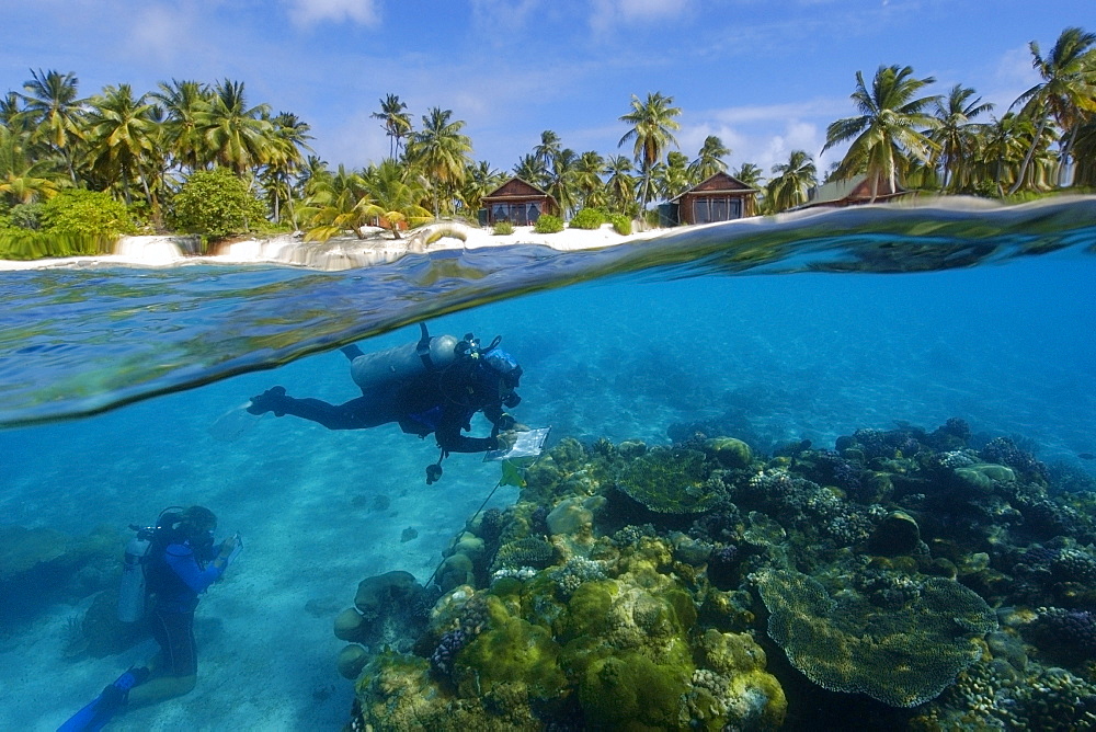 Split image of pristine coral reef and island, Rongelap, Marshall Islands, Micronesia, Pacific