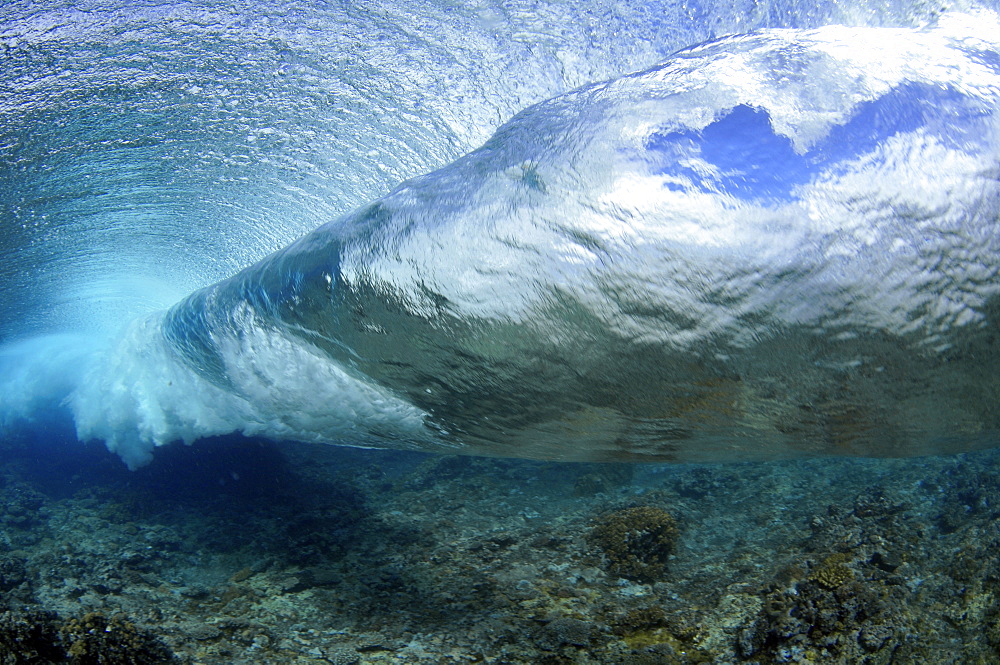 Wave breaking on reef, seen from below the surface, Palikir Pass, Pohnpei, Federated States of Micronesia, Caroline Islands, Micronesia, Pacific Ocean, Pacific