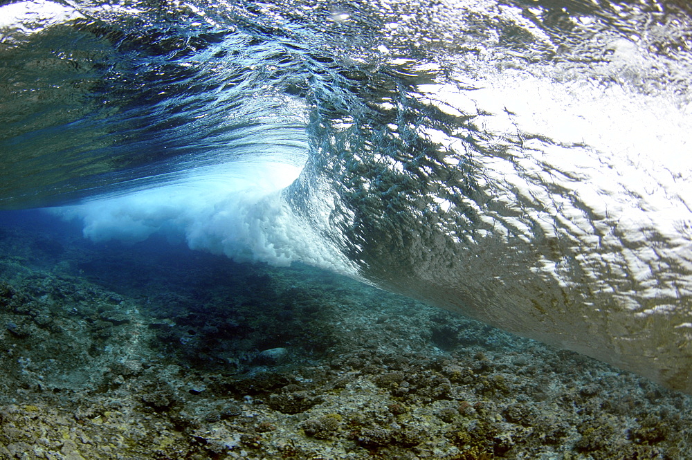 Wave breaking on reef, seen from below the surface, Palikir Pass, Pohnpei, Federated States of Micronesia, Caroline Islands, Micronesia, Pacific Ocean, Pacific