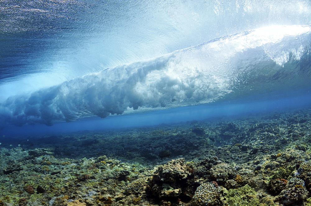 Wave breaking on reef, seen from below the surface, Palikir Pass, Pohnpei, Federated States of Micronesia, Caroline Islands, Micronesia, Pacific Ocean, Pacific