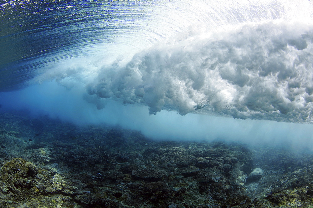 Wave breaking on reef, seen from below the surface, Palikir Pass, Pohnpei, Federated States of Micronesia, Caroline Islands, Micronesia, Pacific Ocean, Pacific