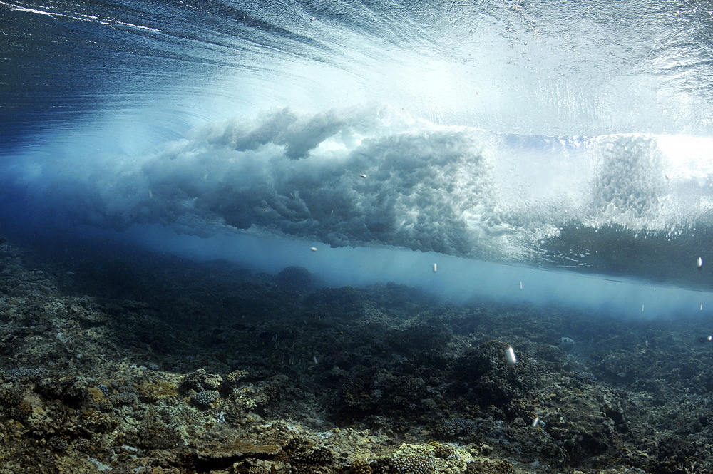 Wave breaking on reef, seen from below the surface, Palikir Pass, Pohnpei, Federated States of Micronesia, Caroline Islands, Micronesia, Pacific Ocean, Pacific