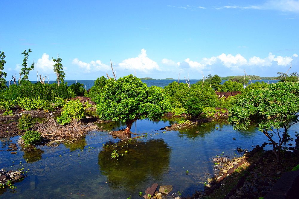 Ruins at the archaeological city of Nan Madol, known as the Venice of the Pacific, Madolenihmw Province, Pohnpei, Federated States of Micronesia, Caroline Islands, Micronesia, Pacific Ocean, Pacific