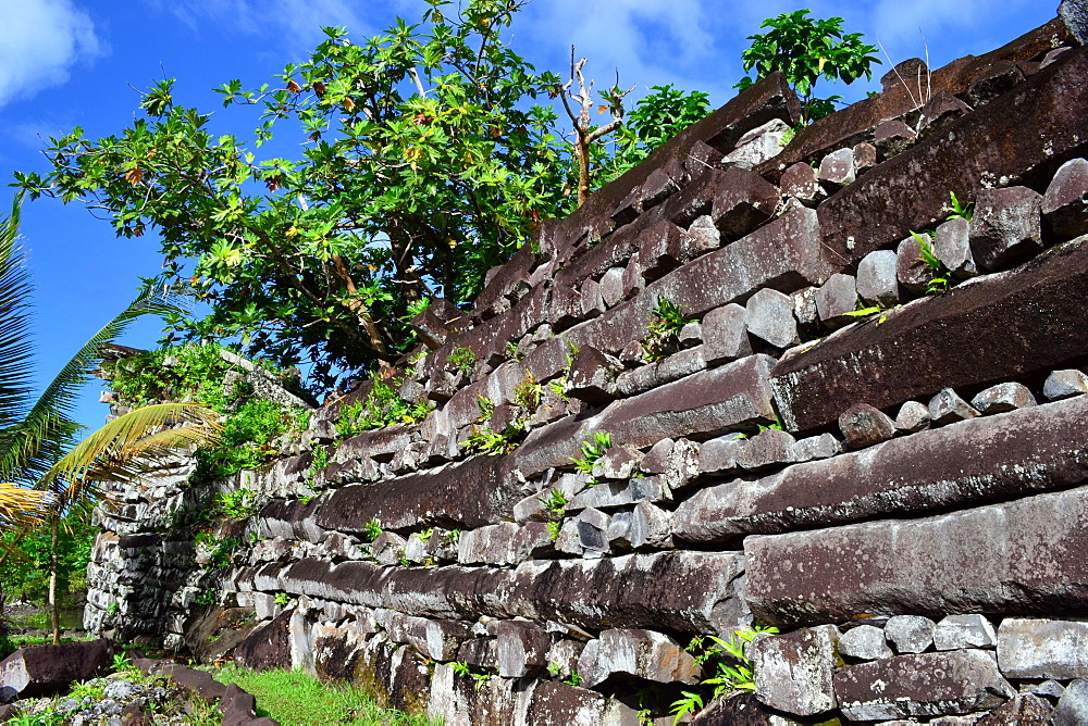 Ruins at the archaeological city of Nan Madol, known as the Venice of the Pacific, Madolenihmw Province, Pohnpei, Federated States of Micronesia, Caroline Islands, Micronesia, Pacific Ocean, Pacific