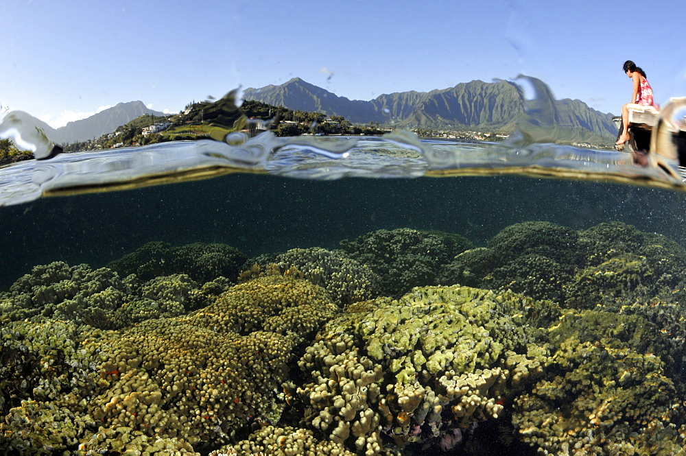 Split image of woman at the pier observing hard coral formations and the Koolau mountains in the background, Kaneohe Bay, Oahu, Hawaii, United States of America, Pacific