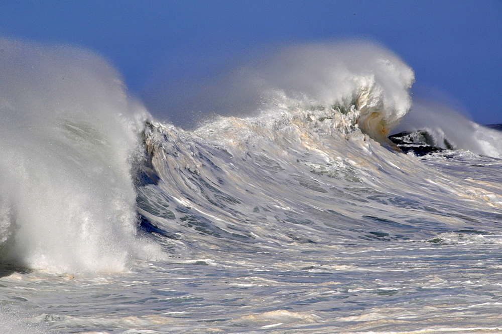 Waves crashing at Banzai Pipeline, Ehukai Beach Park, Oahu, Hawaii, United States of America, Pacific