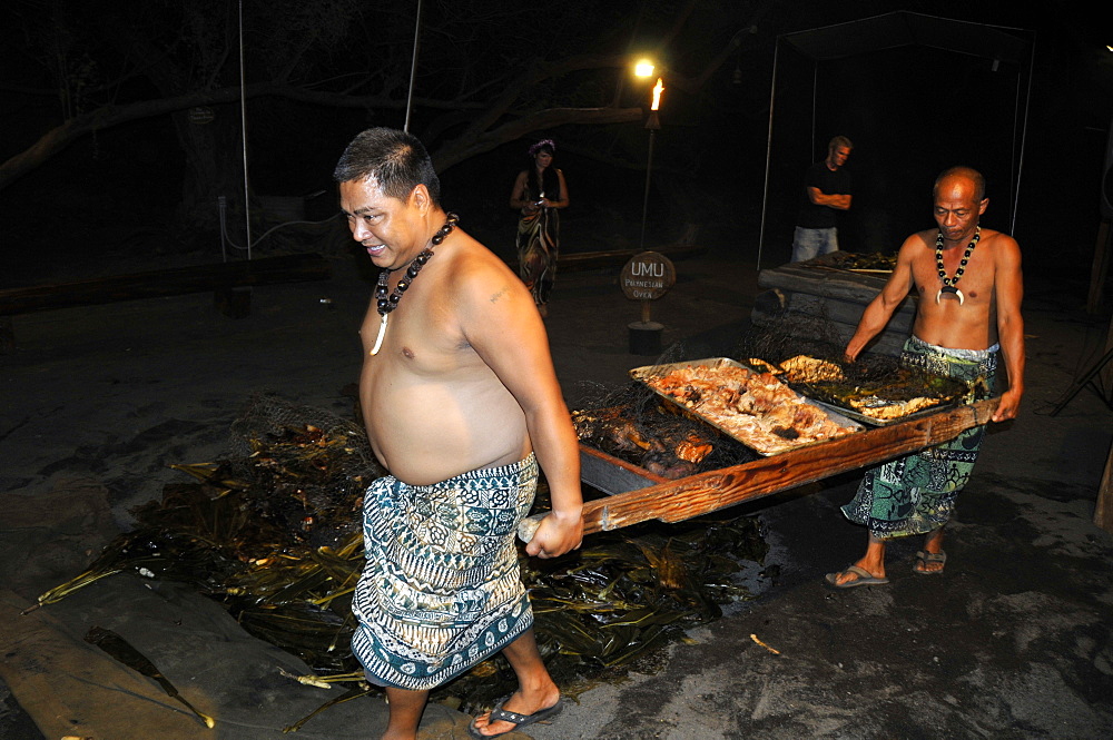 Slow cooked pork taken from imu is carried back to serving area, Kona Village Resort Luau, Kailua-Kona, Big Island, Hawaii, United States of America, Pacific