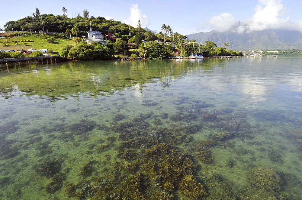 Calm seas, corals and Koolau mountain range, Kaneohe Bay, Oahu, Hawaii, United States of America, Pacific