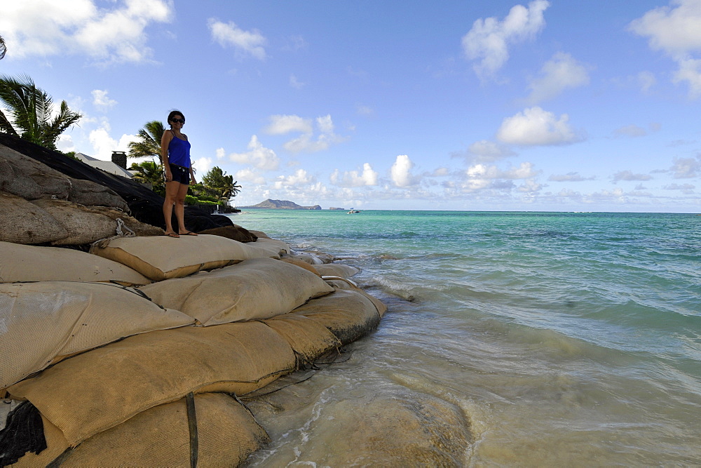 Sand bags placed by local residents of Lanikai, in an attempt to mitigate erosion affecting this East Oahu beach, Oahu, Hawaii, United States of America, Pacific