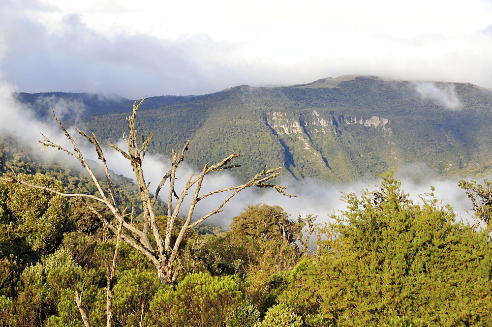 Clouds flow into Sao Joaquim National Park, Morro da Pedra Furada, Santa Catarina, Brazil, South America