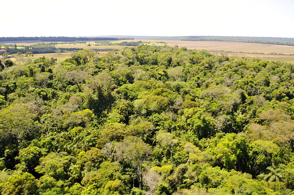 Aerial view, forest surrounding Iguassu river, Foz do IguaÂµu, Parana, Brazil, South America