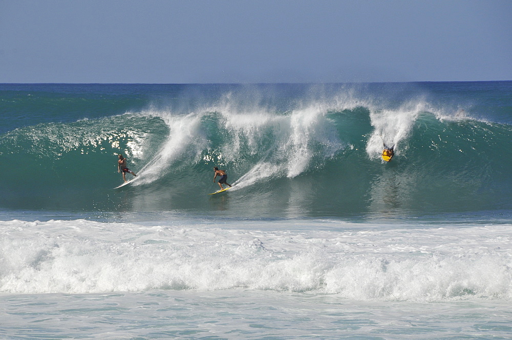 Surfers riding famous barrel waves, Oahu, Hawaii, United States of America, Pacific