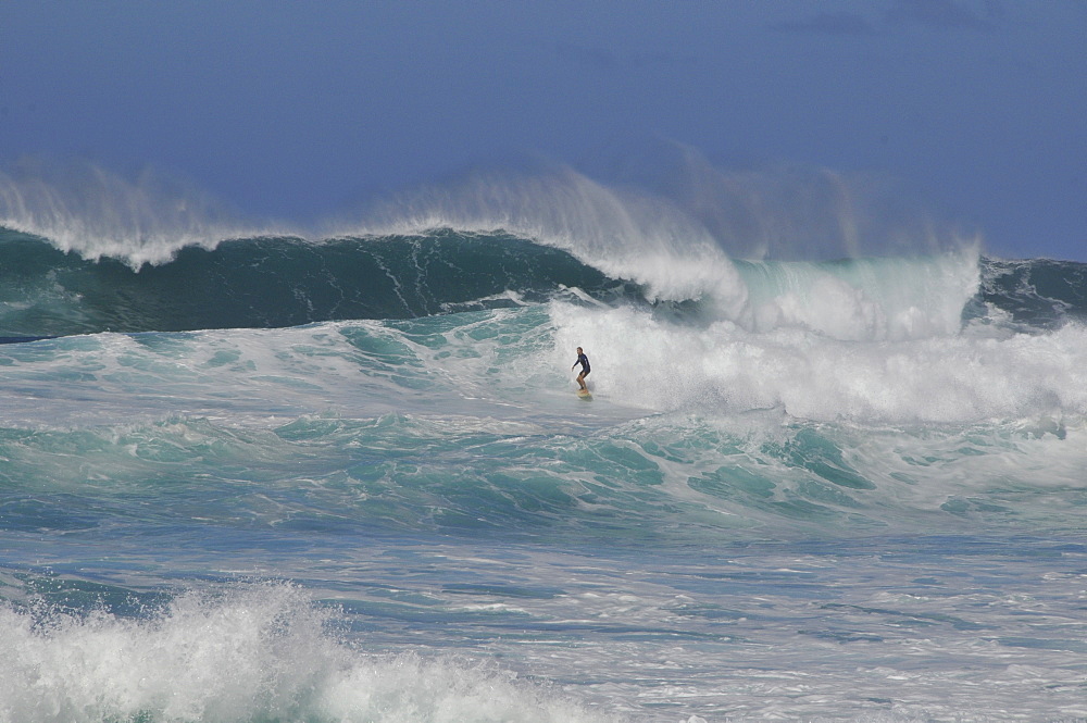 Surfer riding famous barrel waves, Oahu, Hawaii, United States of America, Pacific