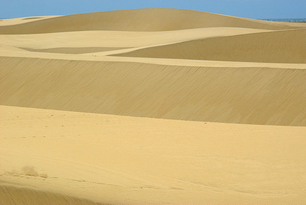 Sand dunes from Pequenos Lencois Maranhenses, between the ocean and Preguicas river, Barreirinhas, Maranhao, Brazil, South America