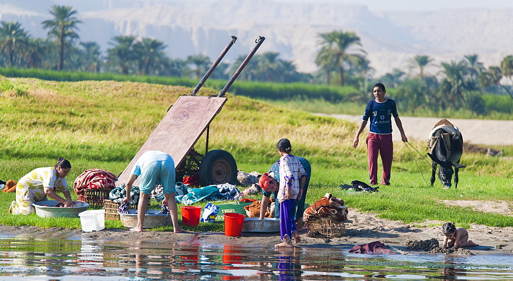 Family chores along the west bank, taken from The Nile, Luxor, Nile Valley, Egypt, Africa 