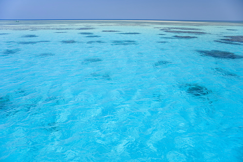 Shallow Reef, Hurghada, Red Sea, Egypt, Africa.