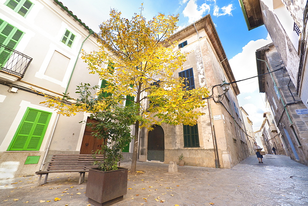 Side streets. Pollenca, Tramuntana, Mallorca, Spain, Europe