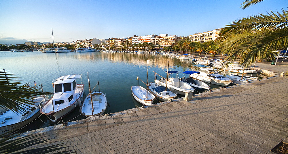 Boats in Port d''Alcudia ,Raiguer,Tramuntana, Mallorca, Spain, Europe