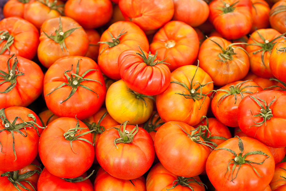 Fresh local tomatoes, Sunday morning markets. Pollenca, Tramuntana, Mallorca, Spain, Europe