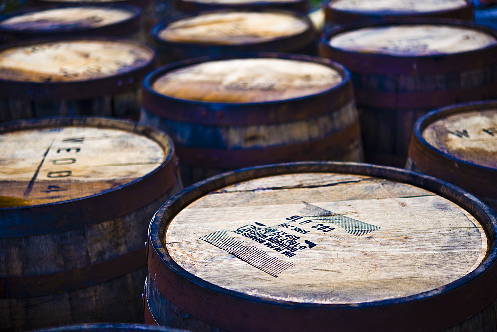 Jura whisky distillery barrel storage, Jura Island, Inner Hebrides, Scotland, United Kingdom, Europe