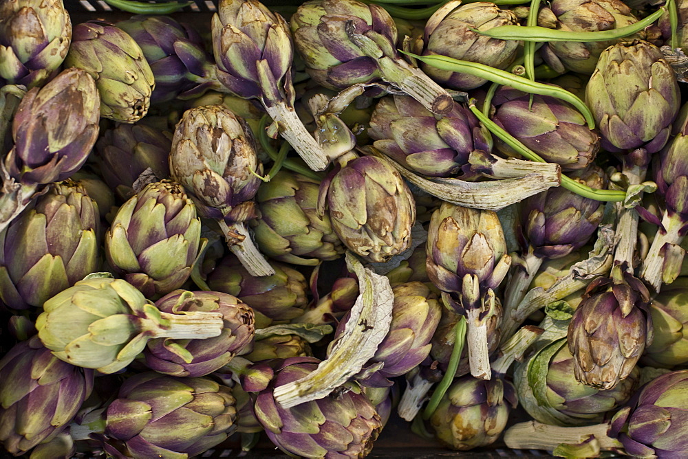 Globe artichokes, one of the local vegetables at the Sunday morning market, Pollenca, Tramuntana, Mallorca, Balearic Islands, Spain, Europe