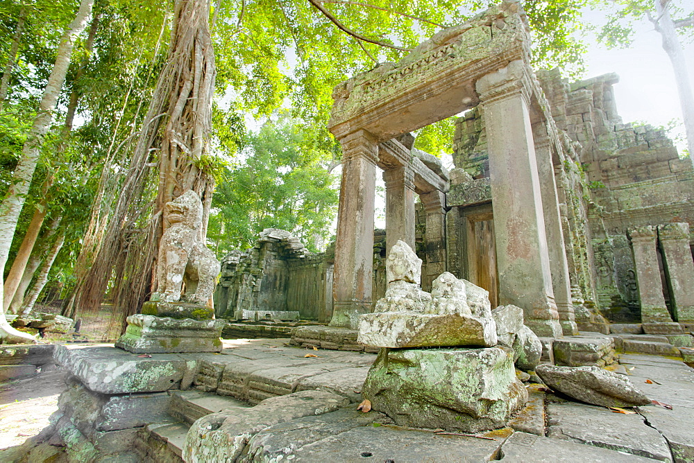 Angkor, UNESCO World Heritage Site, Siem Reap, Cambodia, Indochina, Southeast Asia, Asia 