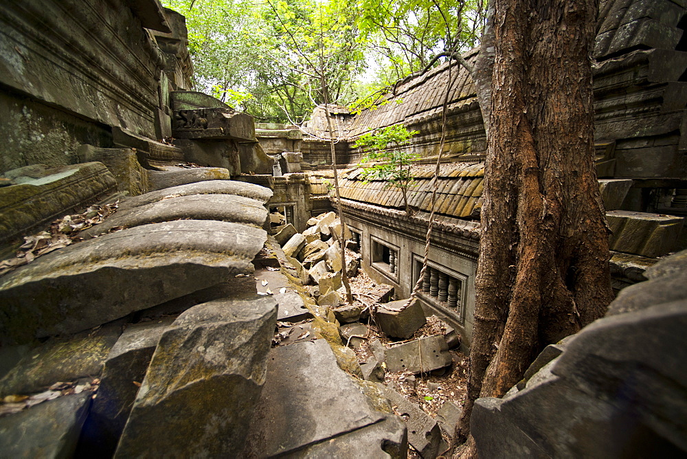 Ta Prohm Temple, Angkor, UNESCO World Heritage Site, Siem Reap, Cambodia, Indochina, Southeast Asia, Asia 