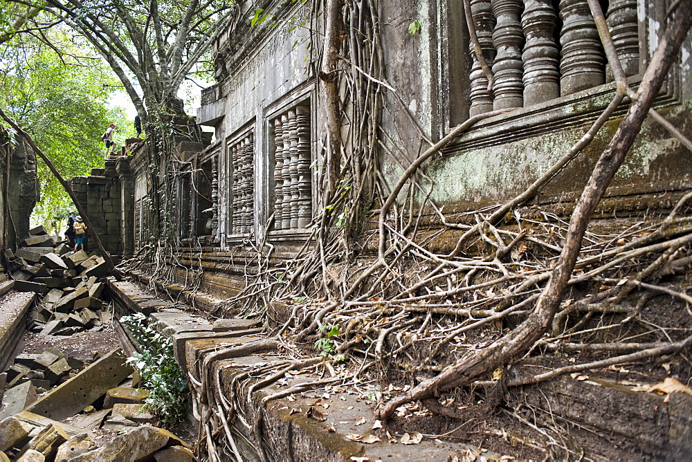 Ta Prohm Temple, Angkor, UNESCO World Heritage Site, Siem Reap, Cambodia, Indochina, Southeast Asia, Asia 