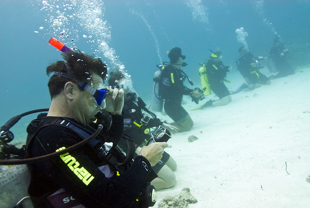 Diving class on sea floor. Cains, Queensland, Australia