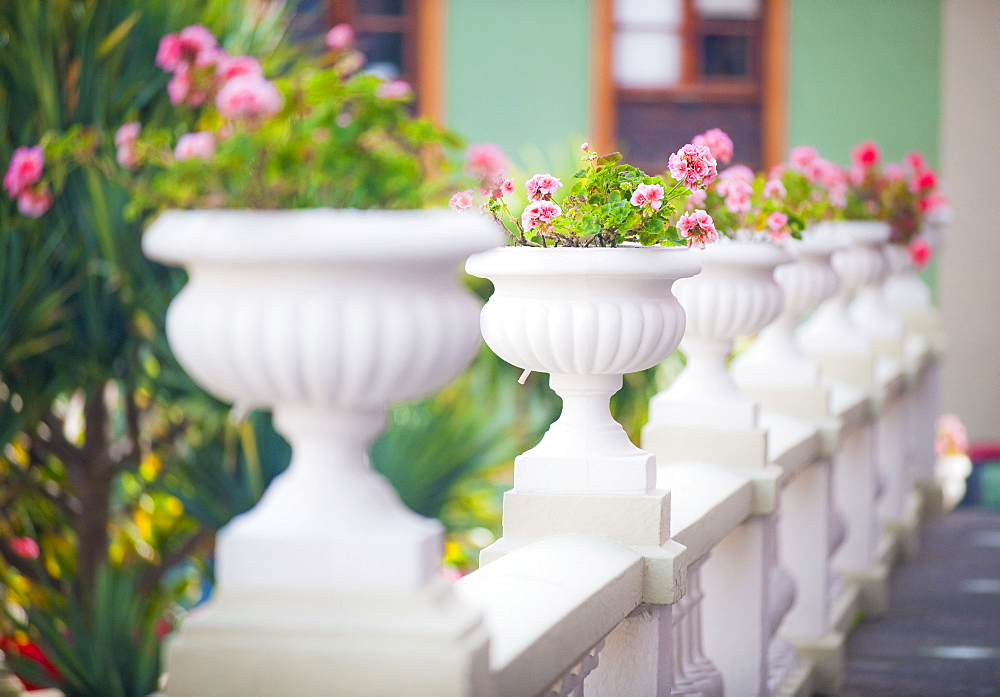 04/04/2009. Plaza Del Ayuntamiento (world heritage site) of La Orotava on Tenerife Island, Canary islands, flowers, town square. Santa Cruz, Tenerife Island. Canary Islands