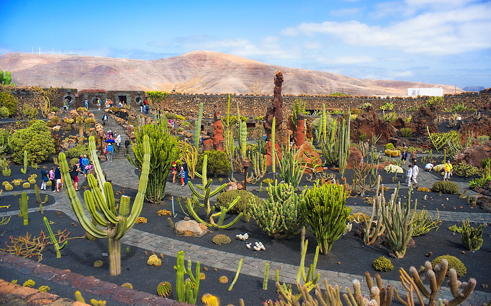 Jardin de Cactus (Cactus Garden) created by CÃ©sar Manrique. Arrecife, Jardin De Cactus, Cactus Garden, Lanzarote. Canary Islands