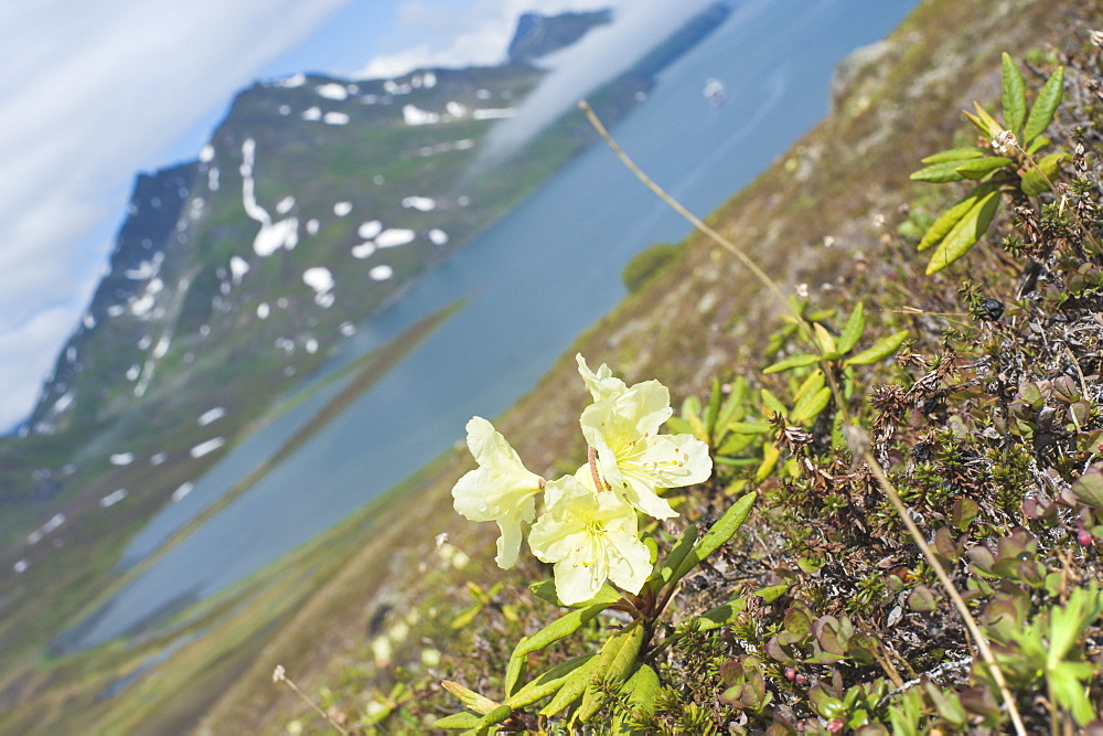 Mountain views and iced lake reflections, high ground, Bogoslov Island (Bering Sea) Russia, Asia 