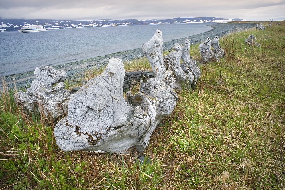 Whalebone Alley, Bowhead whale bones, Itygran Island (Bering Sea) Russia, Asia.  MORE INFO: Whale Bone Alley was discovered by Soviet archaeologists in 1976, but has remained untouched since and little is known of this place. There is a long double line of bowhead whale bones -- jaws and ribs -- running parallel along the shore for hundreds of yards. Many of the bones, especially the enormous jaw bones, are still standing, propped up by lichen-covered rocks. The location is thought to have been used in about 1300 as a ceremonial site, for a men's secret society or feasting site.