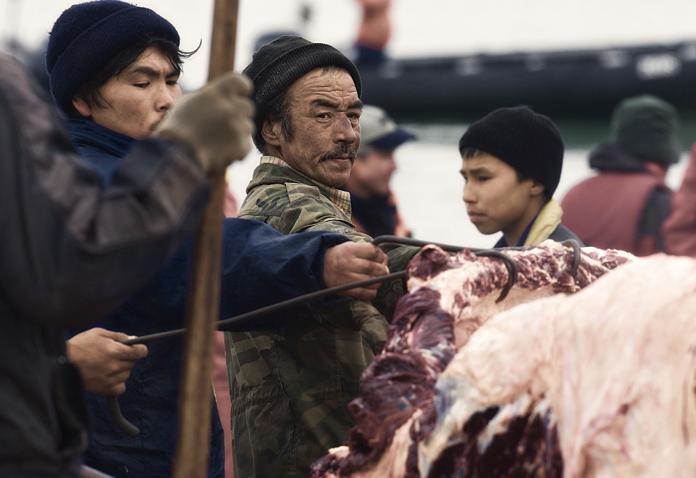 Inuit Settlement with locals cutting large slabs of whale meat from a freshly caught Grey whale, Lorino Village (Chukotskiy Peninsular) Russia, Asia.