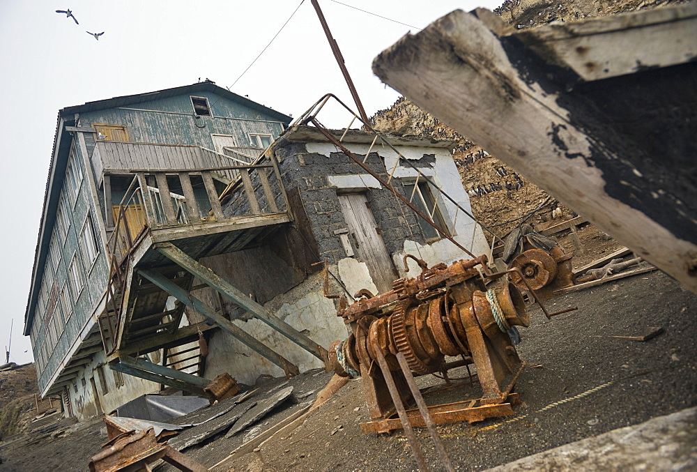 Abandoned Hotel near Wild Common Murres (Uria aalge) colony, Tyuleniy Island (Bering Sea), Russia, Asia 