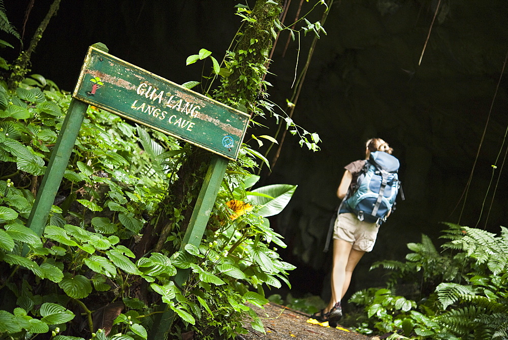 Langs Cave.  Mulu National Park, Sarawak, Borneo, Malaysia, Asia