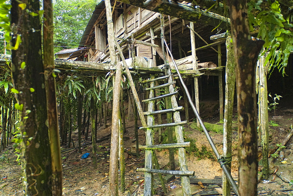 Iban Long House comunity. Kuching, Sarawak, Borneo, Malaysia, South-East Asia, Asia