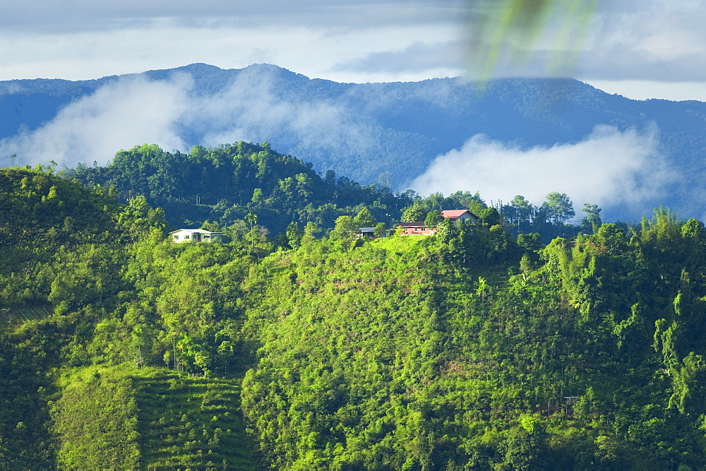 View from Kampung Kiau Nulu Village, crops. Kampung Kiau Nulu Village, Sabah, Borneo, Asia