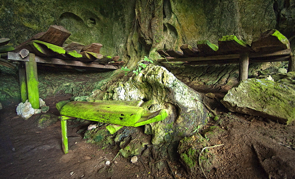 Timber Coffins in Burial Caves, Kinabatanga Valley, Sabah, Borneo, Malaysia